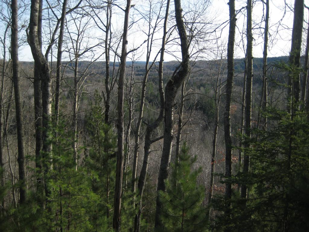 Blog | A Few River Gorges