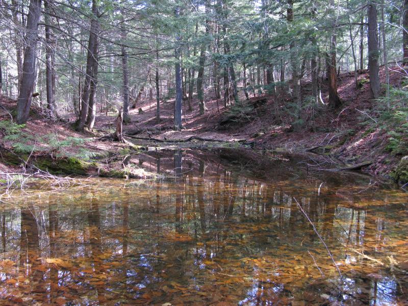 Small pool on the upper Little Huron River