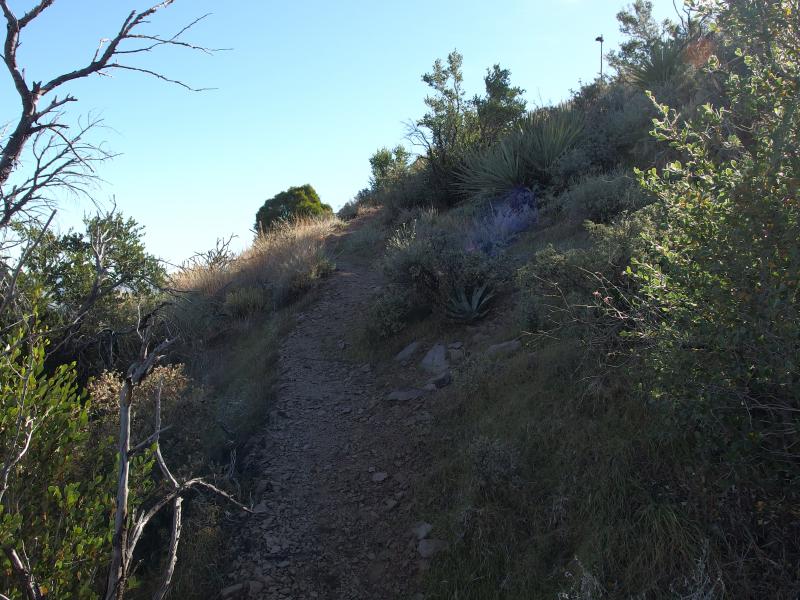 A narrow hillside path