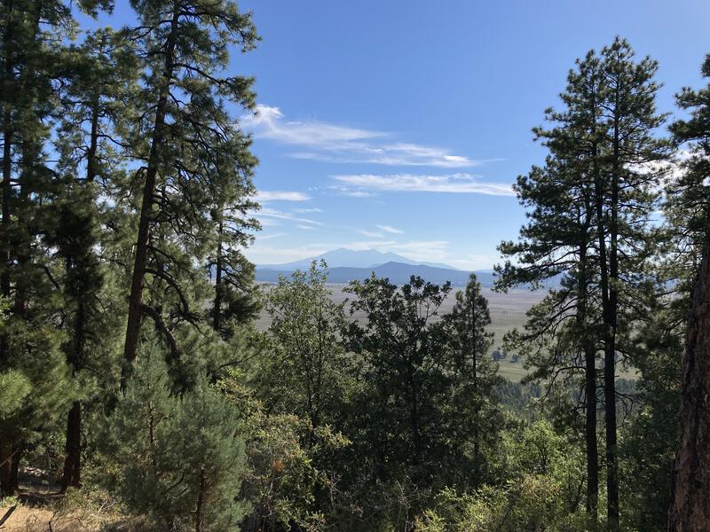 San Francisco Peaks in the distance