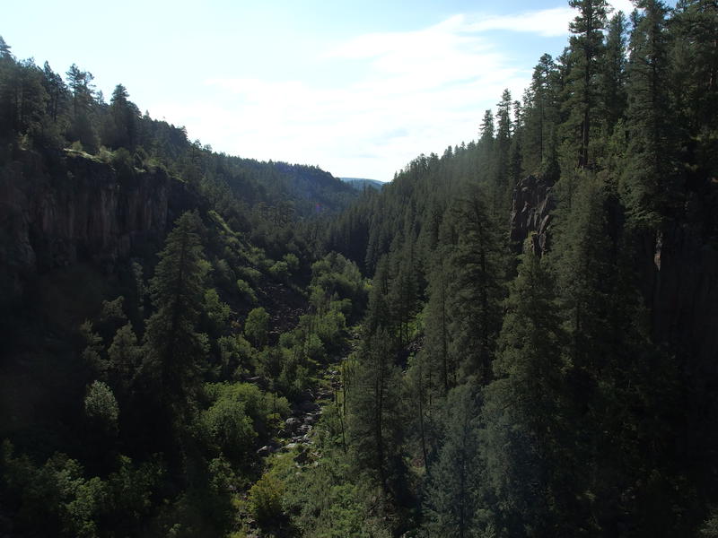 Thick forest downstream the steep canyon