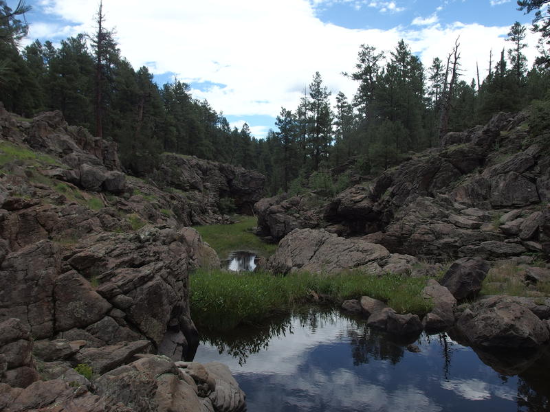 Pools and rugged rocks at Pomery Tanks