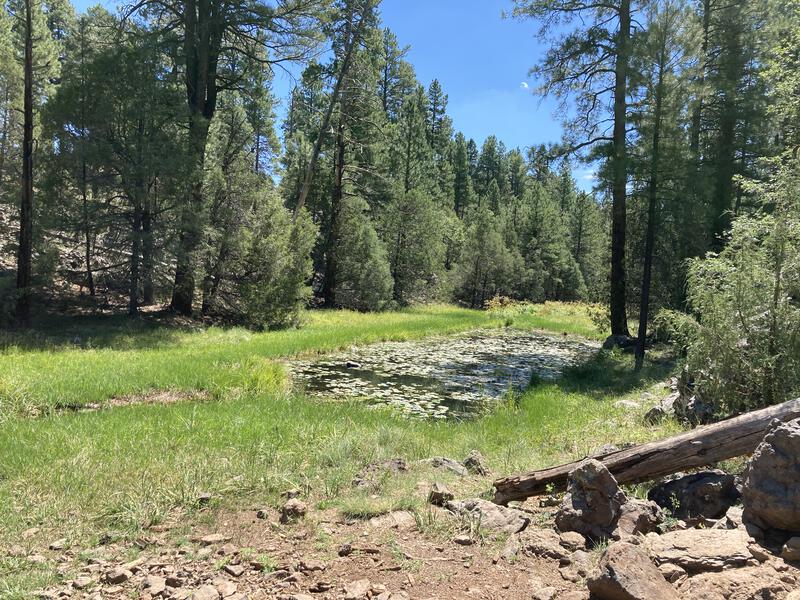 One of the few ponds along the route