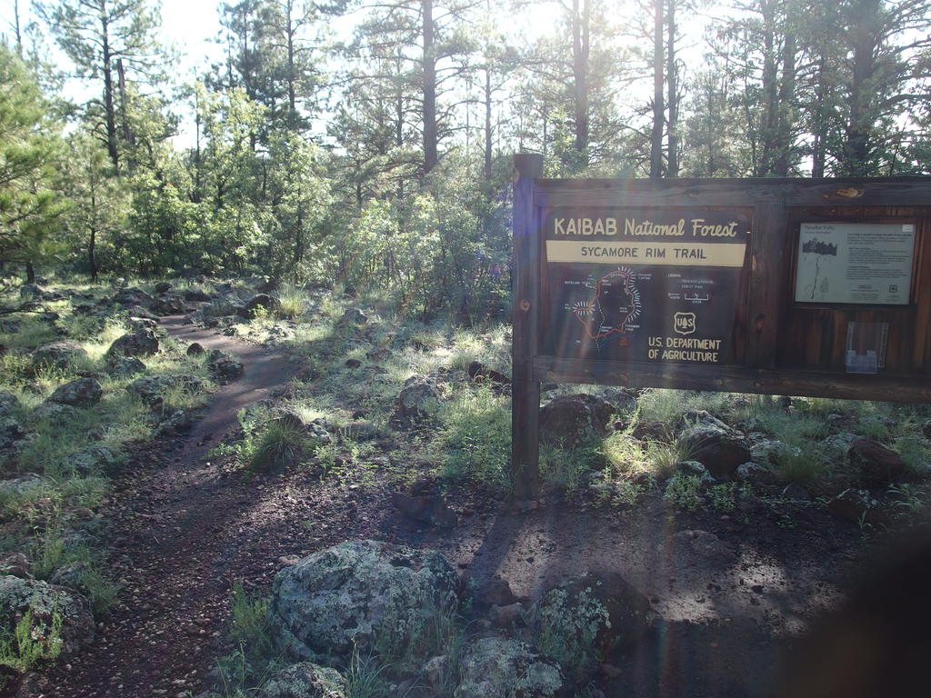 Blog | Sycamore Rim Loop