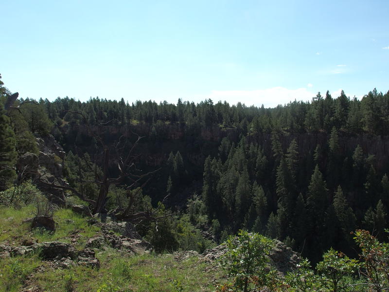 Following a tributary of Sycamore Canyon