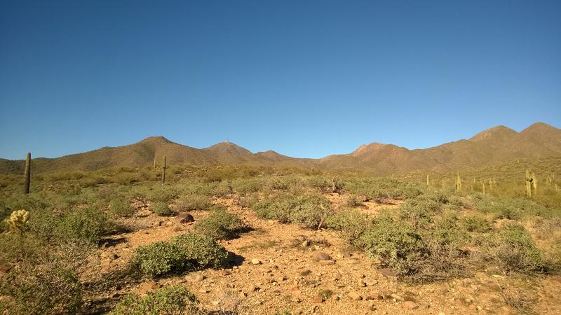 Hot, dry desert landscape