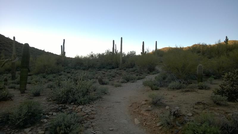 Shade falling on the trail