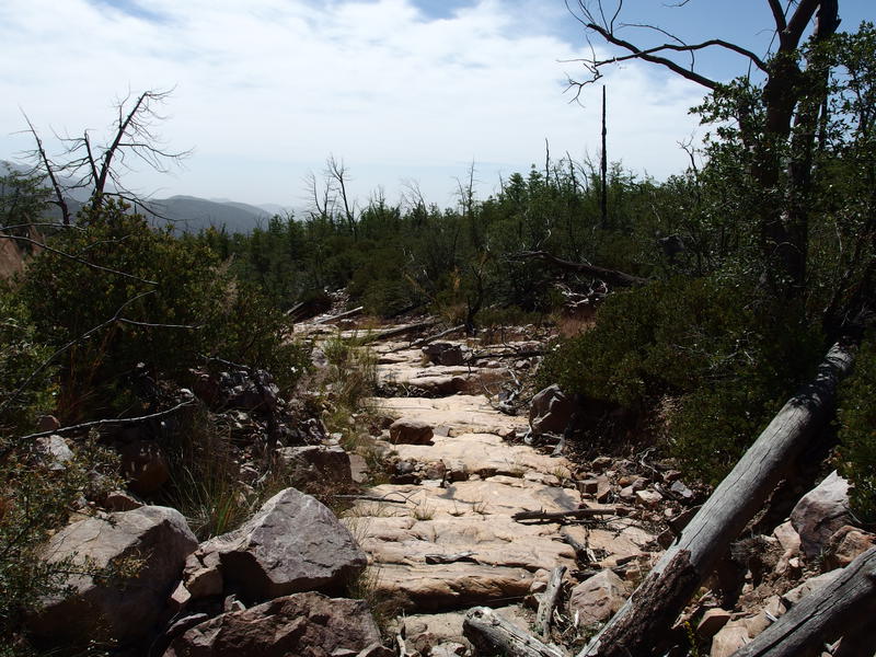 Hot trail along the Deadman Creek crossing