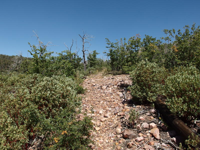 Loose rocks along Mazatzal Divide Trail