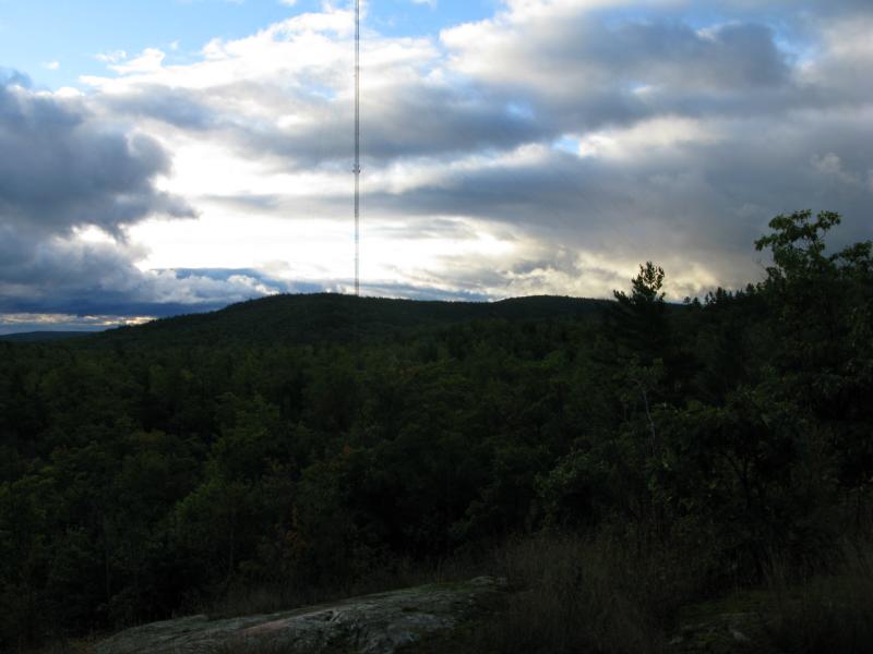 Radio Tower and Alder Hill