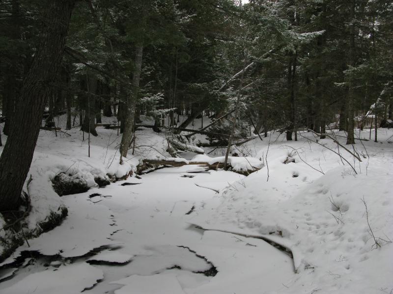 Little Huron River (Mostly Frozen)