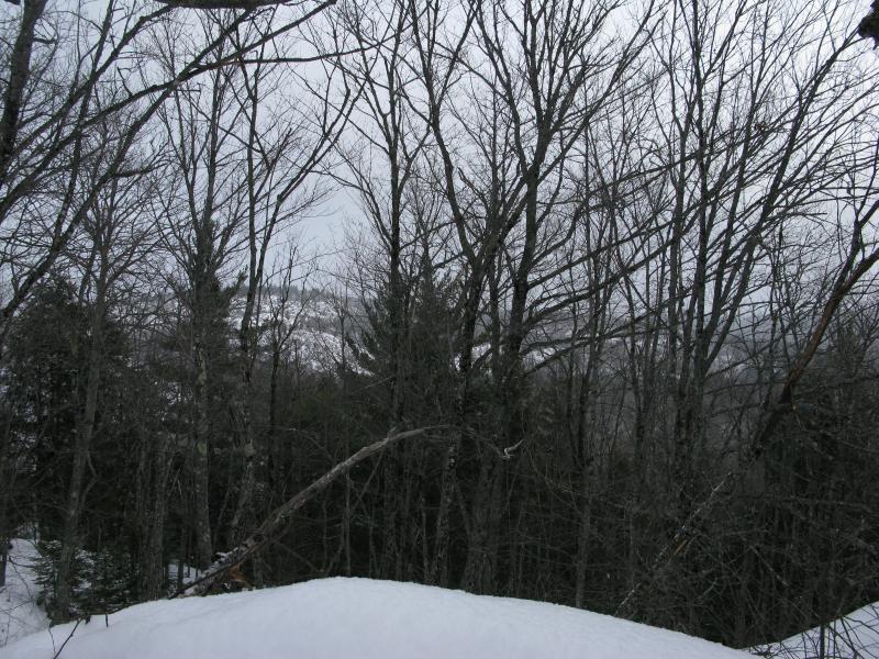 Superior Mountain through the Trees