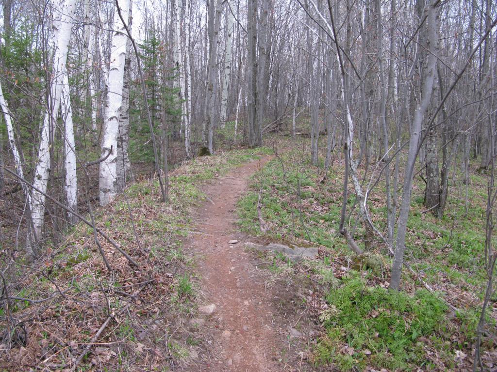 Blog | Lakes of Tilden Mine
