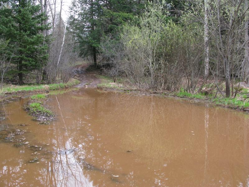Large mud puddle along the trail