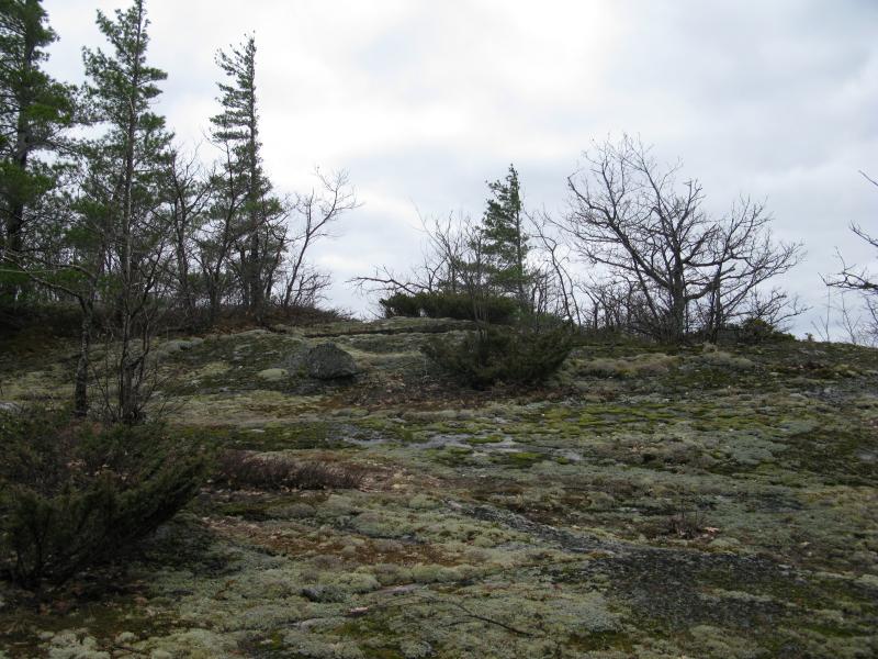 A mossy, rocky peak ahead