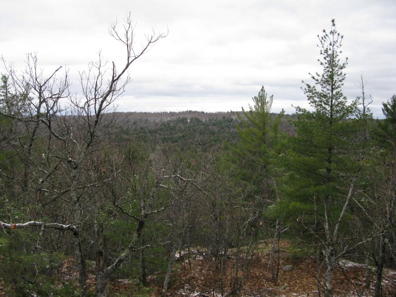 Partial views south over Mink Run