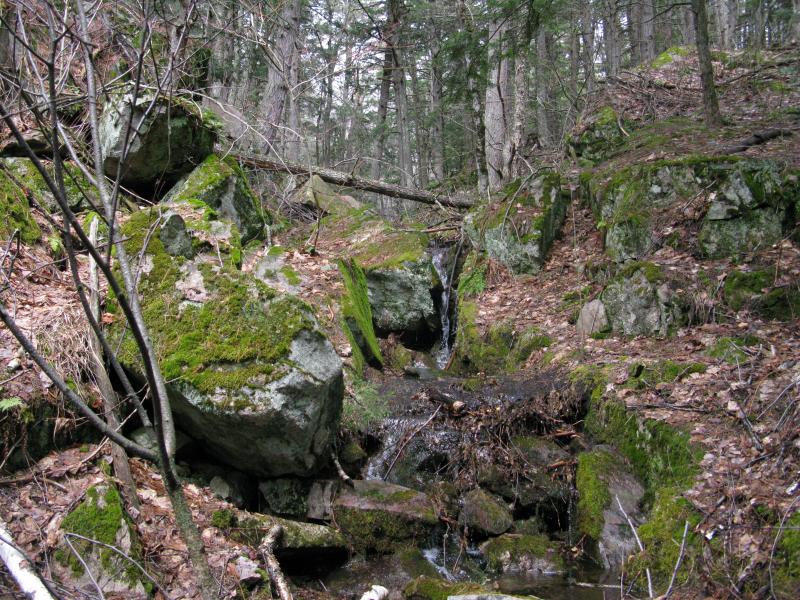 Mossy rocks and falling water