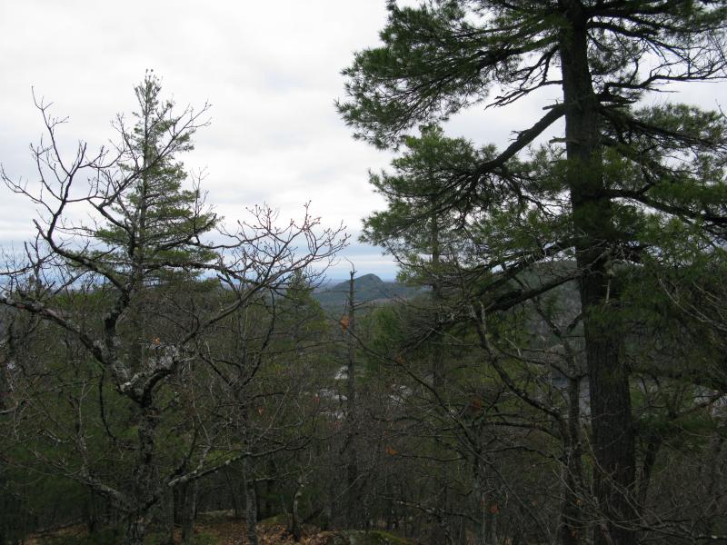 Steep face of Mount Ives in the distance