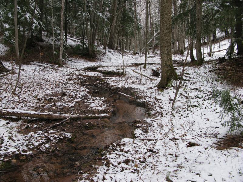 Dusting of snow over a muddy seasonal creek