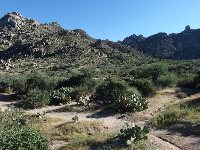 Sandy start to the trail