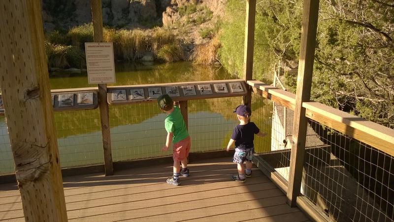 Noah and Thomas checking out the murky waters