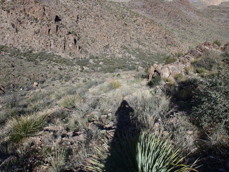 Looking down into catclaw country