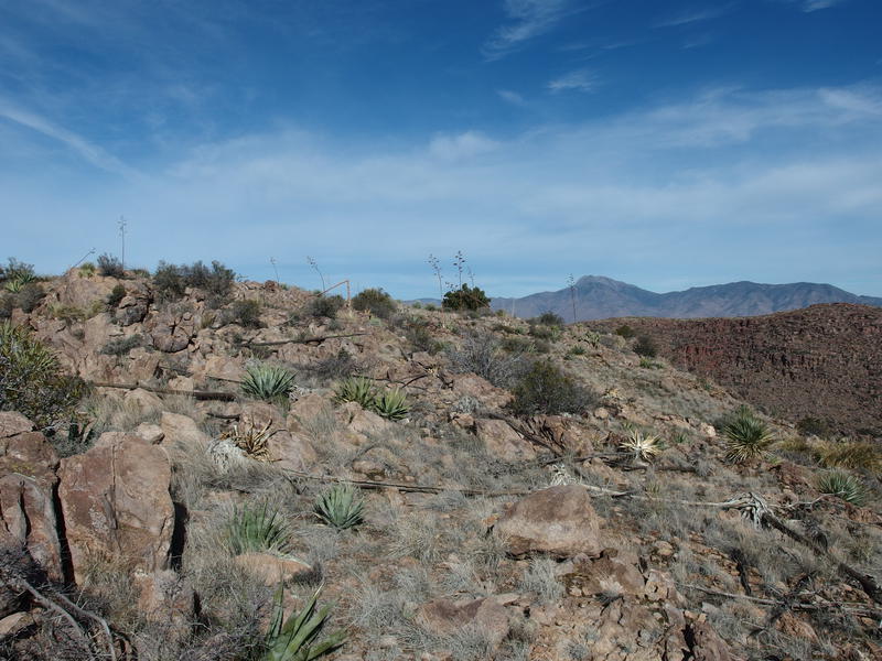 Relatively easy hiking over rocks and stalks