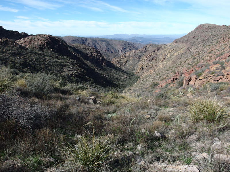 Drainage leading north towards Peter's Canyon