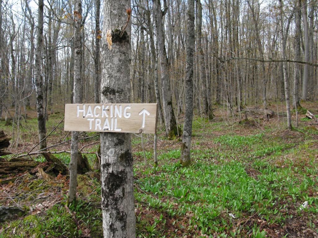Blog | Trap Hills near Cascade Creek