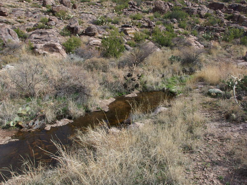 Plenty of water in West Boulder tributaries