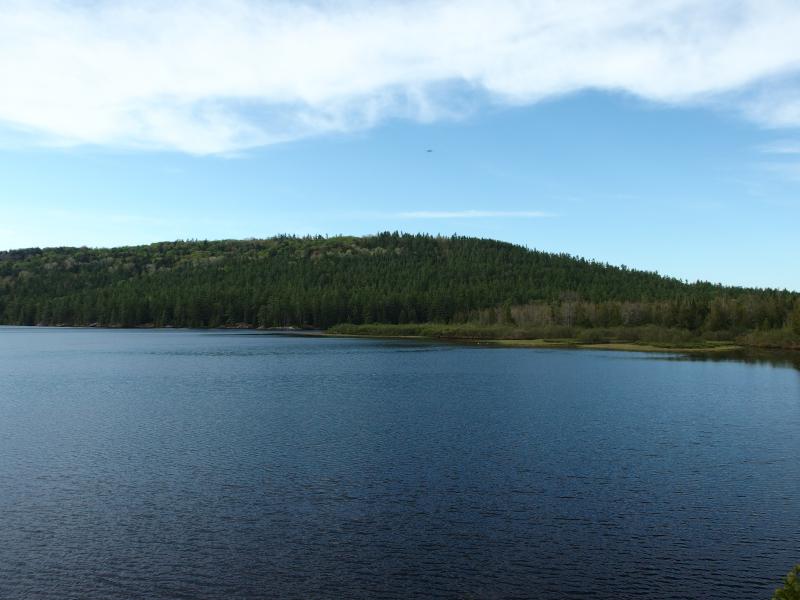 Swampy southern shoreline of Mountain Lake