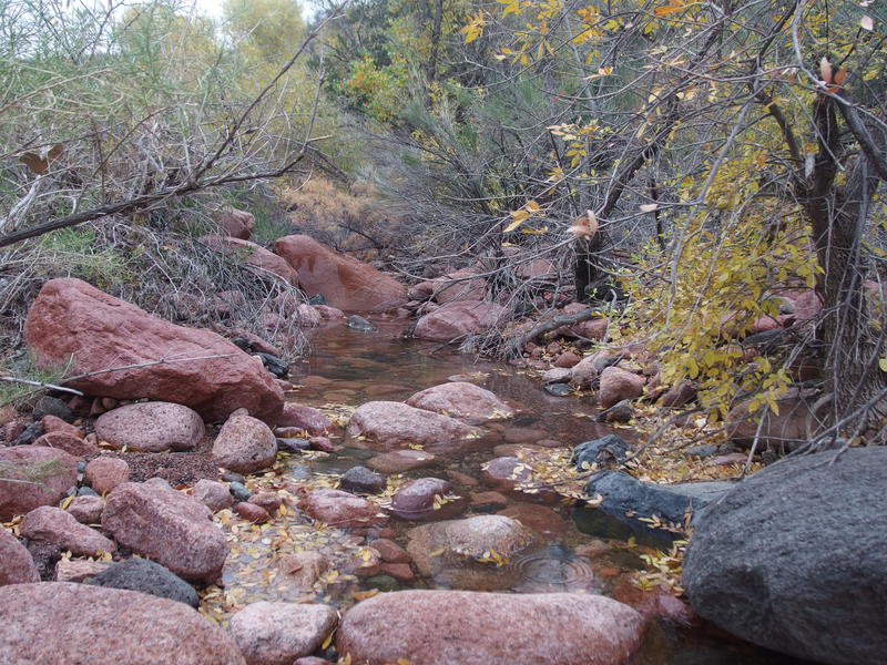 Good water at Canyon Creek