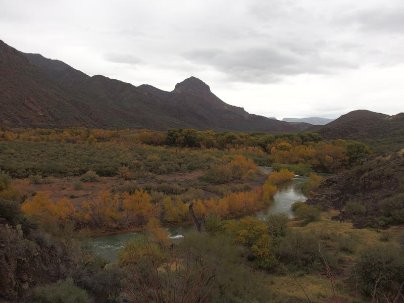 Fall colors on display along the river