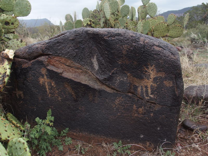 Some surprise petroglyphs along the trail