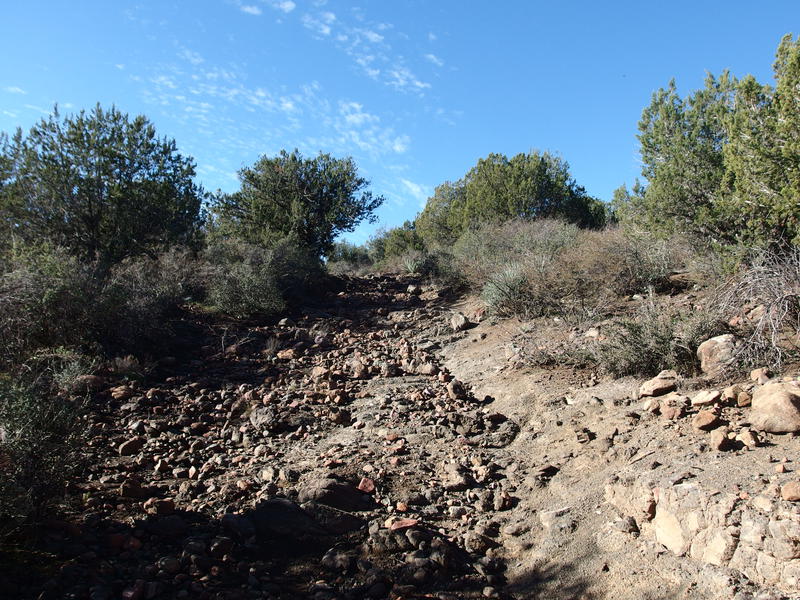 A rough, rolling start to Bull Spring Trail