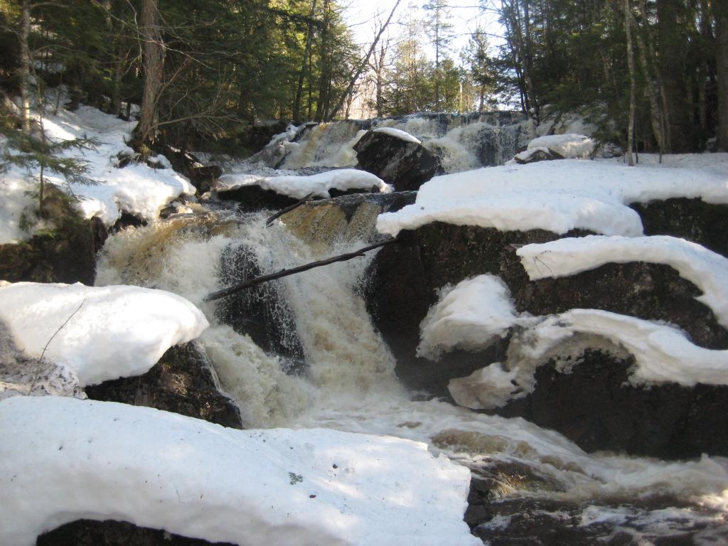 Blog | Silver River