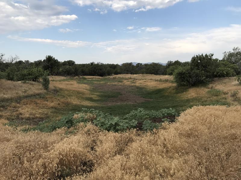 Dry ground at Deadman Tank