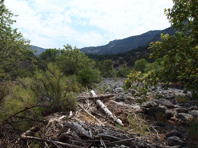 Dry mouth of Hardscrabble Creek