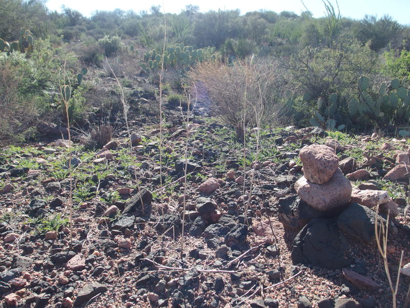 A typical tiny cairn along the trail
