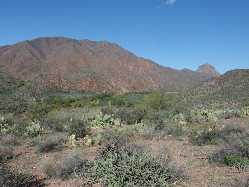 Red hills rising high above the Verde River