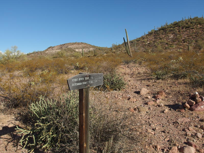 Further along Verde River Trail