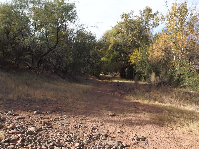 Spur drive to a campsite near the exit of Red Creek