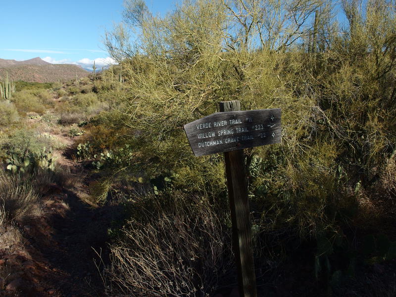 Trail sign for the Willow Spring / Verde River junction