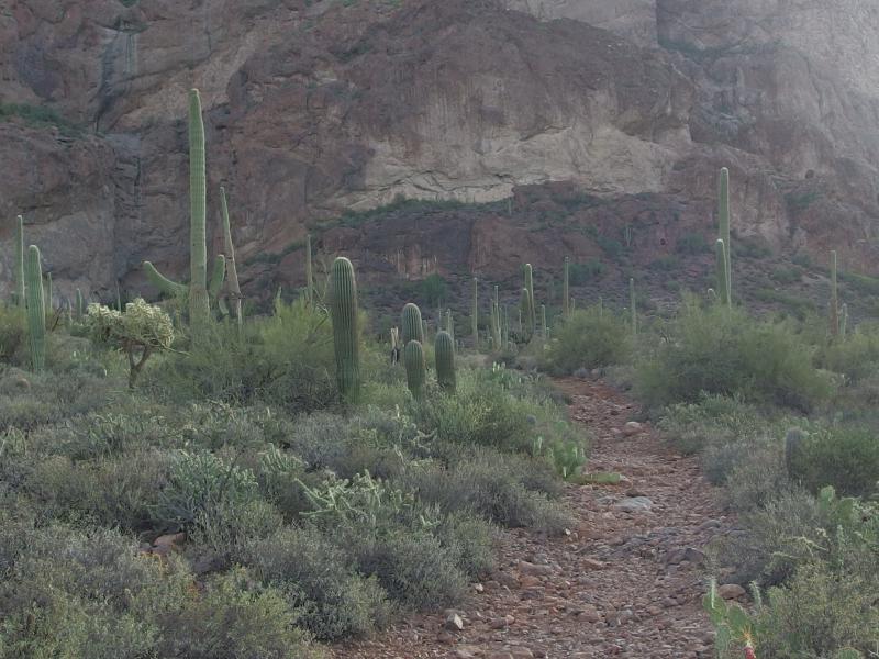 Trail of rubble and rocks leading to the old mine