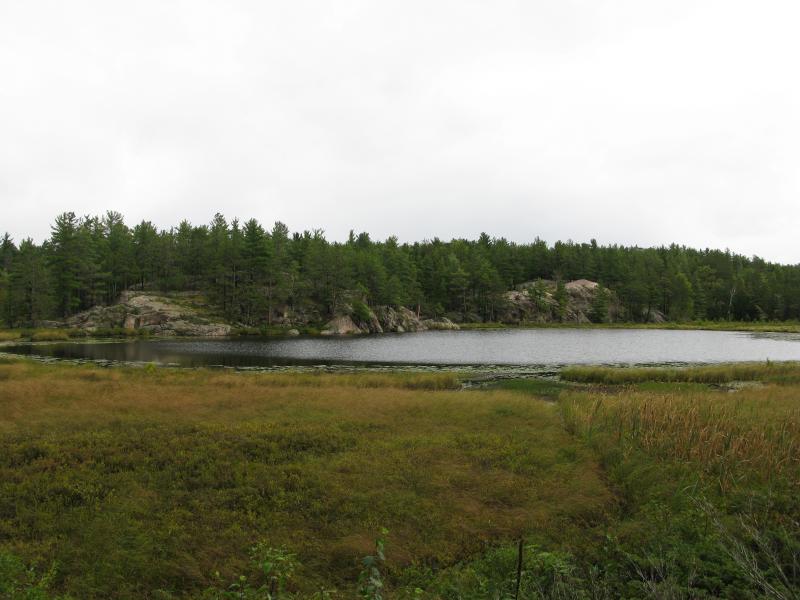 Eastern outcroppings on Wetmore Pond