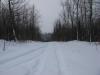 Tracks leading to a tree-covered bluff