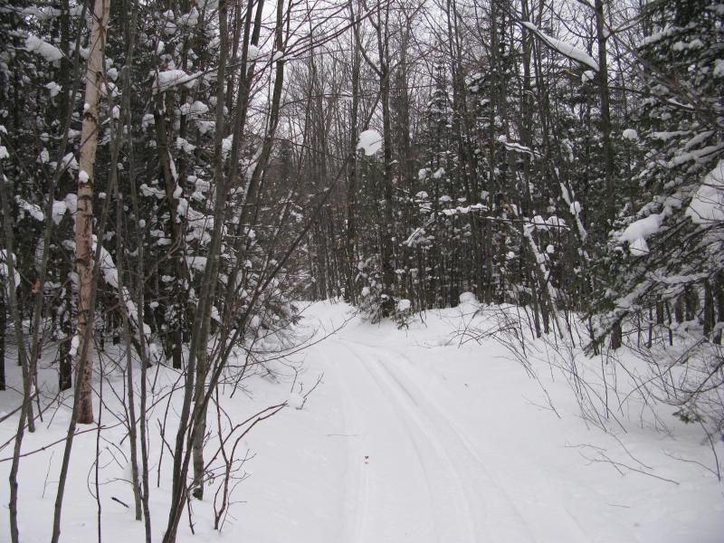 Narrow pretty winter trail