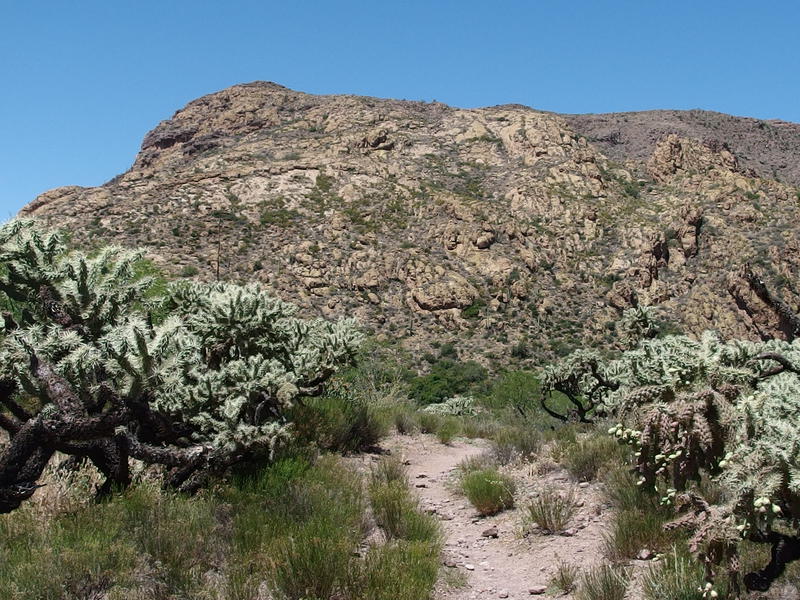 The trail to Bluff Springs