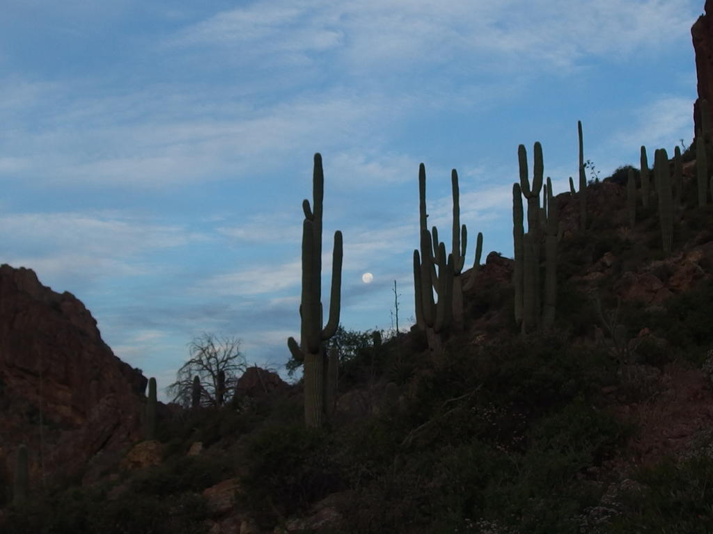 Blog | Dripping Springs Loop: Whiskey Springs