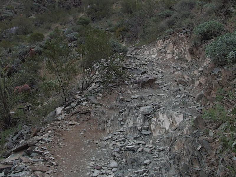 Sharp rocks on the trail
